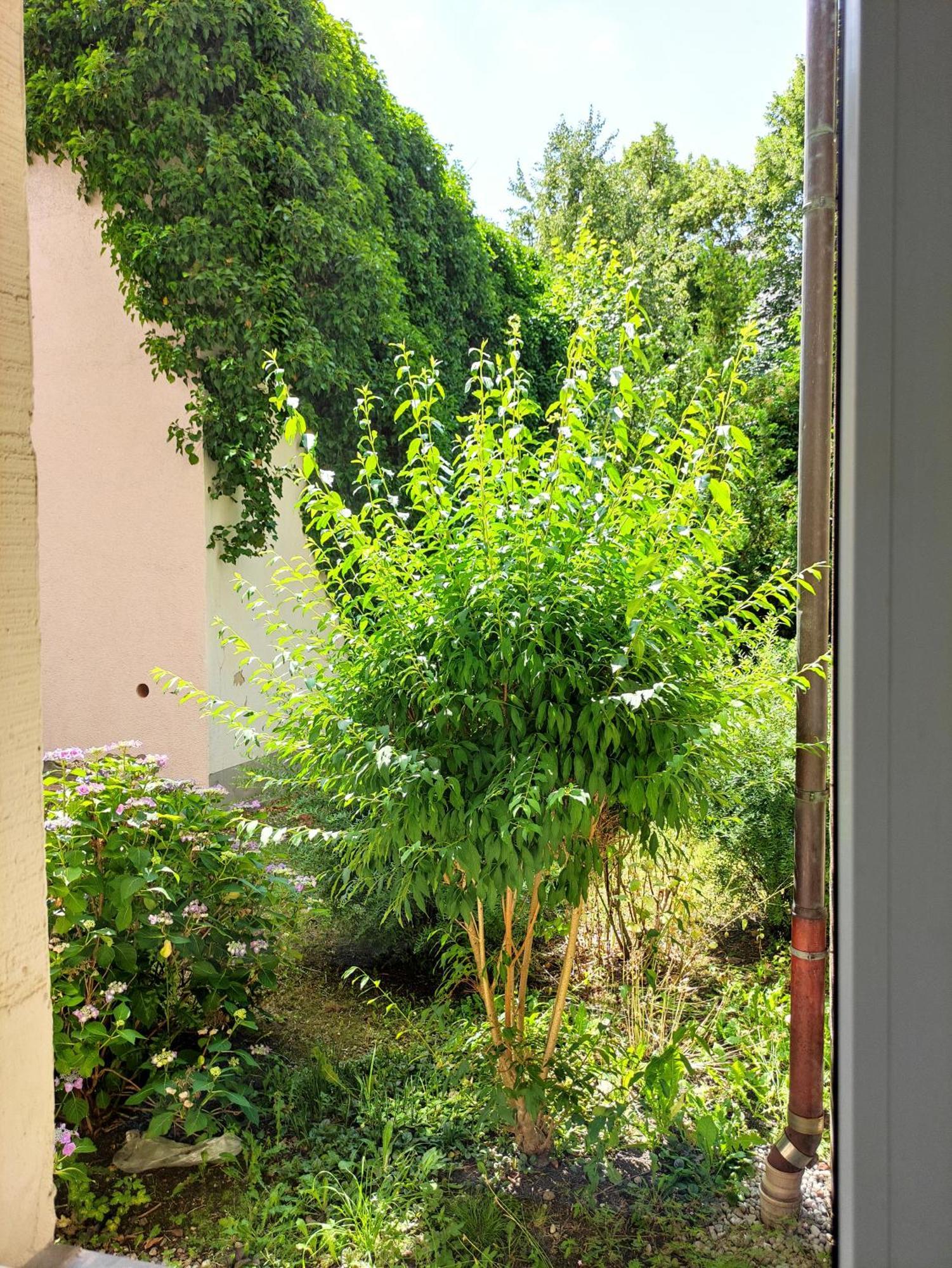 Exklusive Wohnung Mit Kingsize-Bett I 75Qm I Am See I Netflix I Gratis Kaffee & Teeangebot Chemnitz Dış mekan fotoğraf